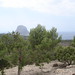Ibiza - En la ladera de un monte...
