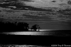 20061213_EvergladesLandscape03