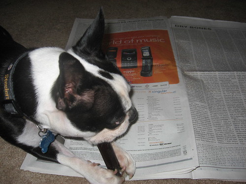 Tanner helps me read the paper