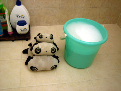 bathing the pandas 1