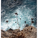 Ibiza - El mar y la tierra
