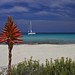 Formentera - playa de formentera