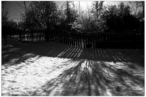 Old Fence Light Shadows