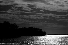 20061213_EvergladesLandscape05