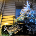 Christmas Tree // Sapin de Noël