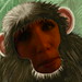 Ibiza - monkey face
