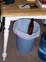 beer bottle balanced on trash can