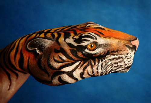 tigre (by joaoko)