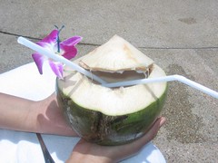 coconut in hua hin (by kapsi)