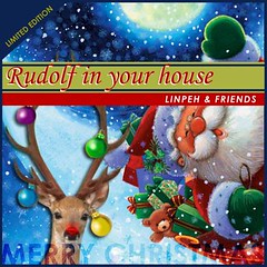 Rudolf In Your House CD Cover