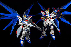 Freedom Gundam & Strike Freedom Gundam
