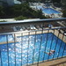 Ibiza - Pool @ Hotel Apolo in Ibiza