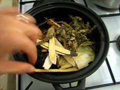 Chinese herbs - cooking