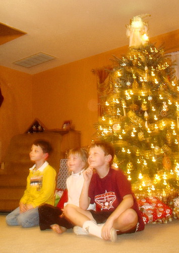 The kids in front of the tree