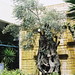 Ibiza - Tree outside Hotel Seaview Country Club, P