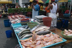 Fish at the night market in Kajang