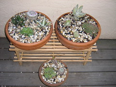 small pots
