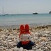 Ibiza - Miffa on a rockie beach