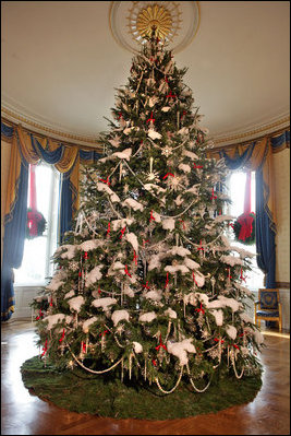 Official Christmas Tree.JPG