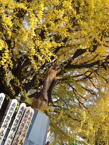 A statue in yellow leaves