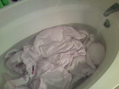 Bathtub bleaching experiment