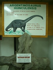 Neuquen Road Trip - 10 - Argentinosaurus bone