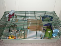 Messy cage2