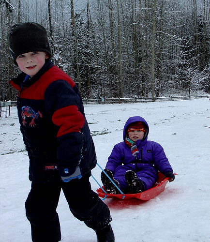 Sleding (sledging) in Cottage Lake Park
