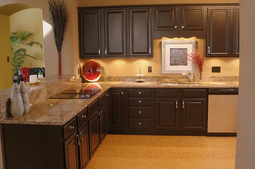 Kitchen Makeover with Black Cabinets (by champagne.chic)