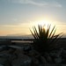 Ibiza - Sunset at Cap des Falco 3