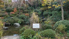 薬師の泉庭園