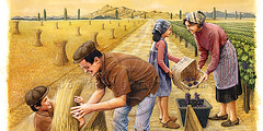 Harvest Time Detail