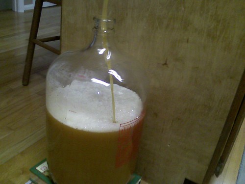 Racking Belgian Golden Ale from Primary to secondary fermenter