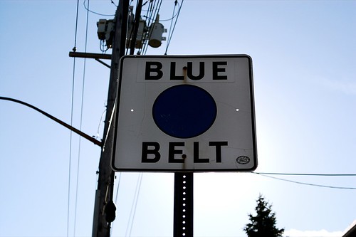 This Belt Is Blue