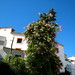 Ibiza - ibiza . dalt villa