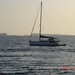 Ibiza - Boat along San Antonio Coastline