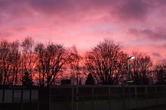 Earlswood sunrise today