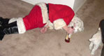 drunk_santa