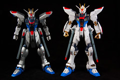 Freedom Gundam Series