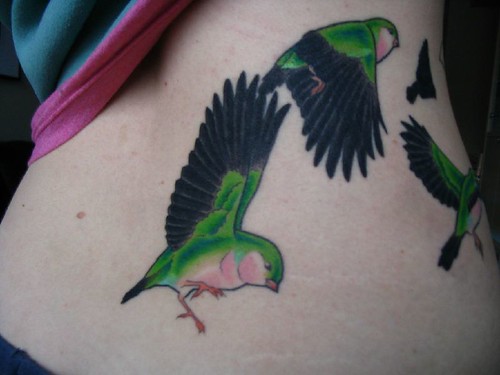 Bird tattoo colour back dark Jan 21 2007 1107 AM