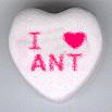candy hearts!