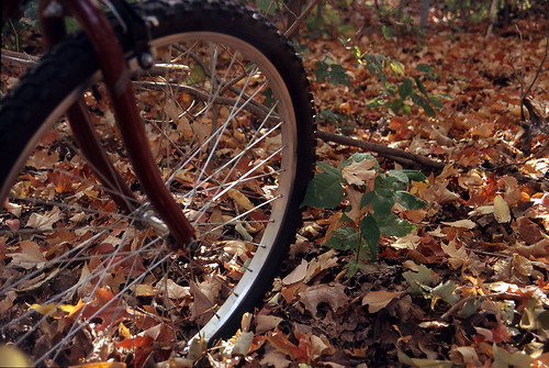 Bike with leaves