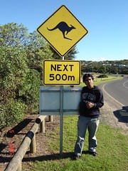 Papan Tanda Kangaroo Crossing, Australia
