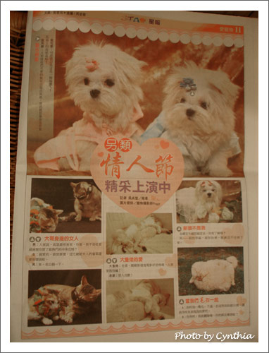 2006/07/30聯合報星報寵物版