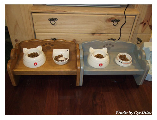雙碗貓餐桌1