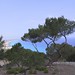Formentera - IMG_0058