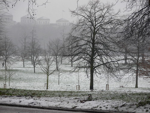 Snow falls in Hyde Park