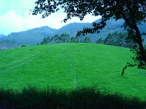 Grass-Land