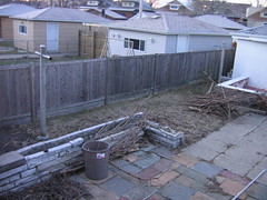 Backyard as of January 2006