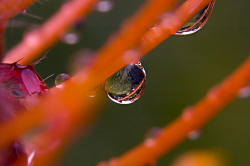 Droplets and Reflections